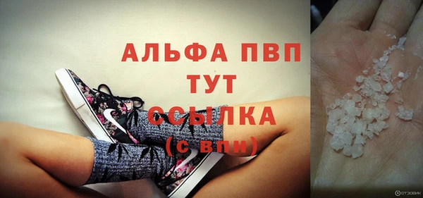 сатива Козловка