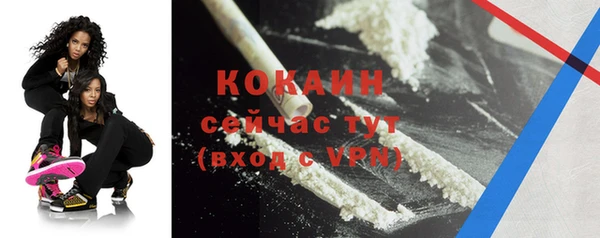 мдпв Кодинск