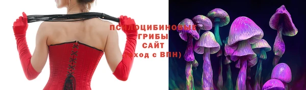сатива Козловка