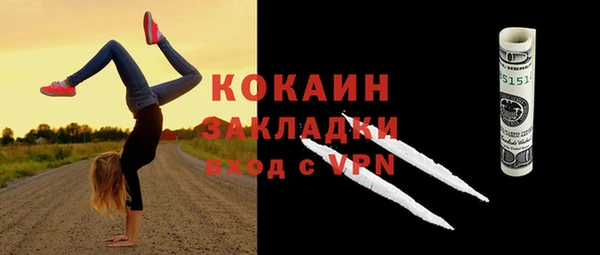 сатива Козловка