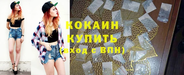 сатива Козловка