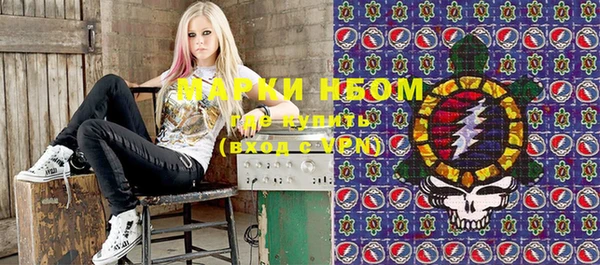 сатива Козловка