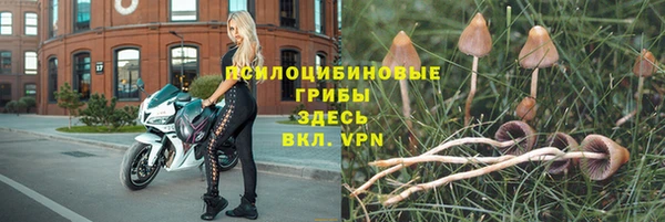 сатива Козловка