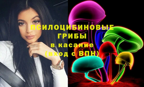 мдпв Кодинск