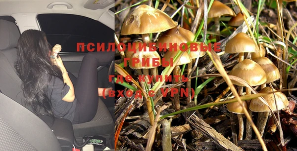 ALPHA-PVP Козельск